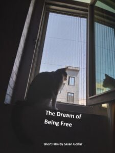 فیلم کوتاه رویای آزادی