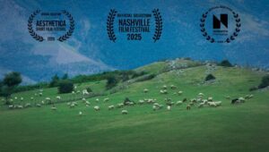 فیلم کوتاه گوسفند فیلم کوتاه گوسفند