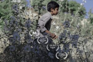 IMG_20251015_180224_336 IMG_20251015_180224_336