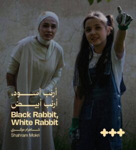 IMG_20251104_190149_752